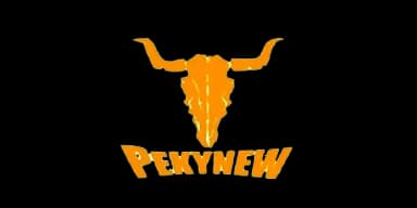 Pekvnew